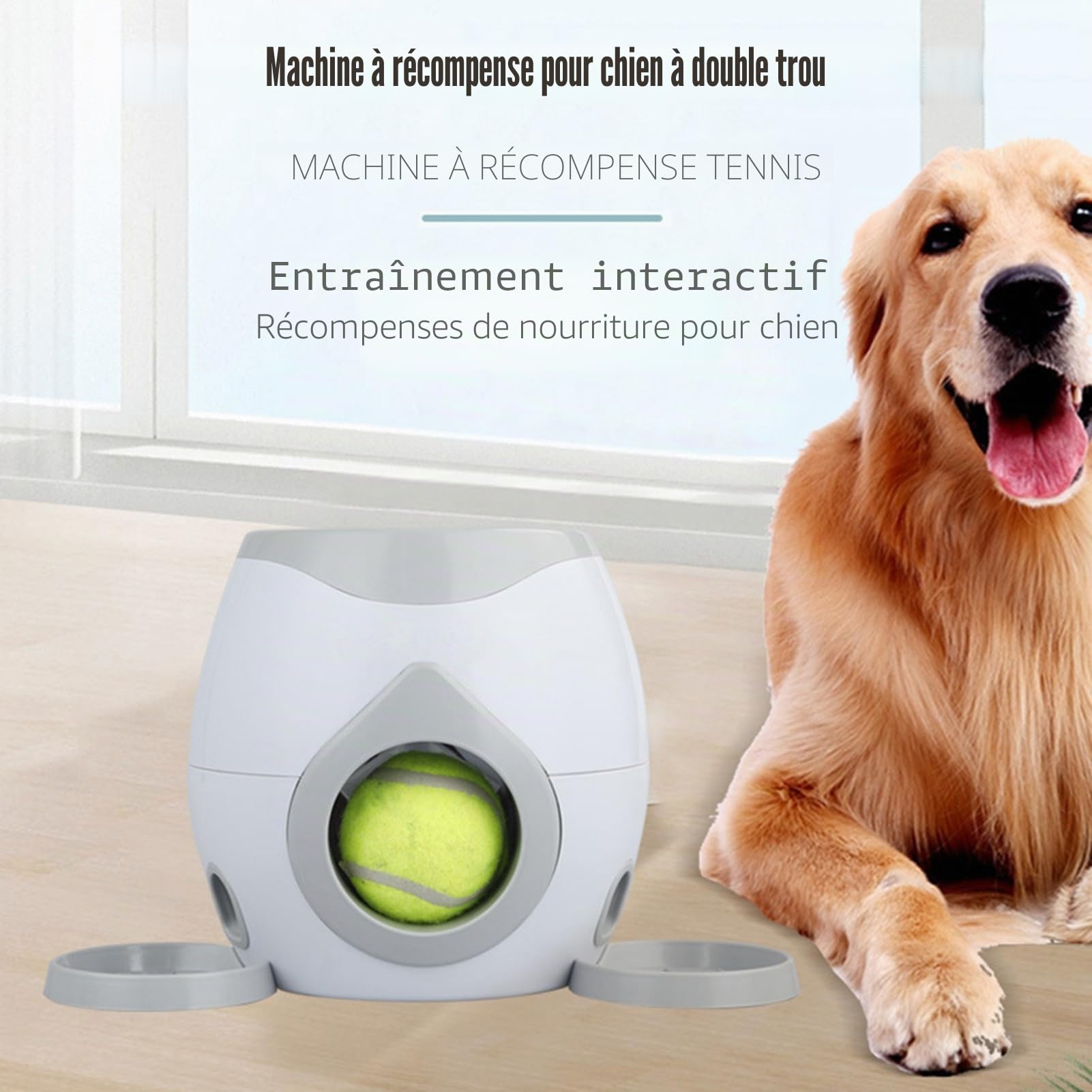 Jouet lanceur de balle tennis automatique pour chien