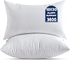30 x 50 CM Cushion Inserts Pack of 2 Small White Decorative Lumbar Throw Pillow Inserts for Living Room Couch Bed Sofa Rectangle Cushion Sham Stuffer Indoor