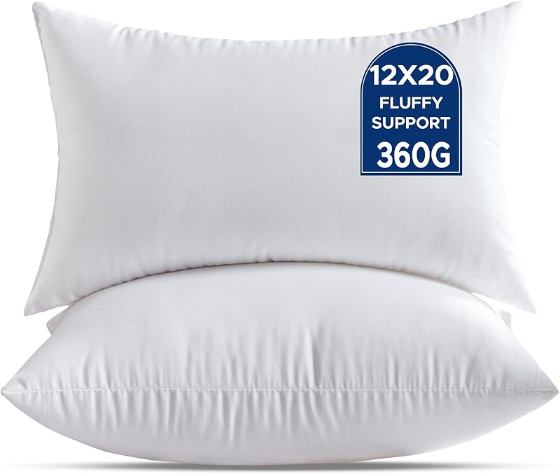 QSWRD Coussin Rembourrage 30 x 50 cm Lot de 2 Petits Coussins Décoratifs Blancs pour Le Salon Canapé
