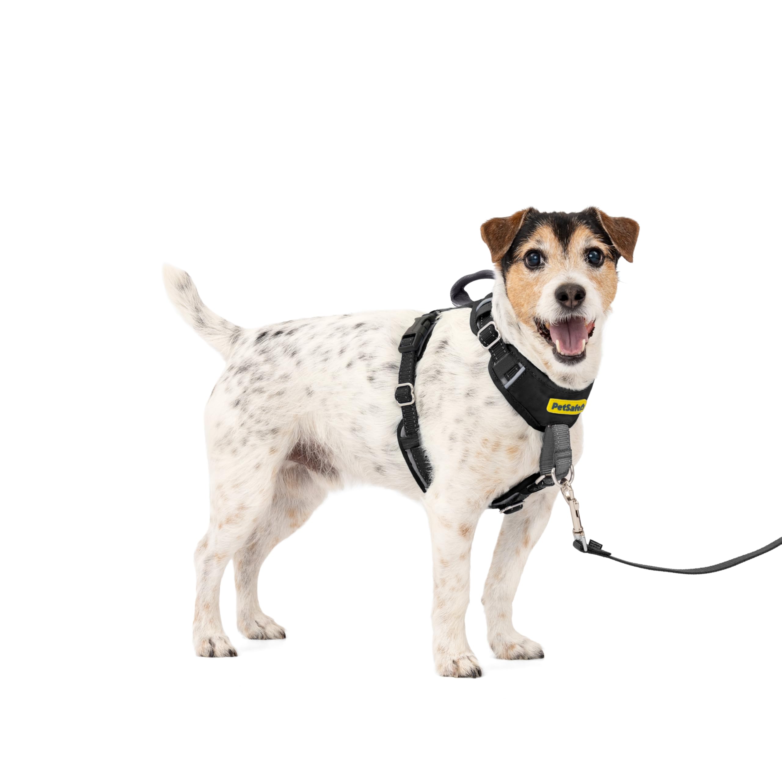 PetSafe Easy Walk Comfort Harnais Anti-Traction pour Chien - Rembourrage Complet du Corps - Meilleure Marche Lors de la première Utilisation - 5 Points de réglage, S/M, Noir