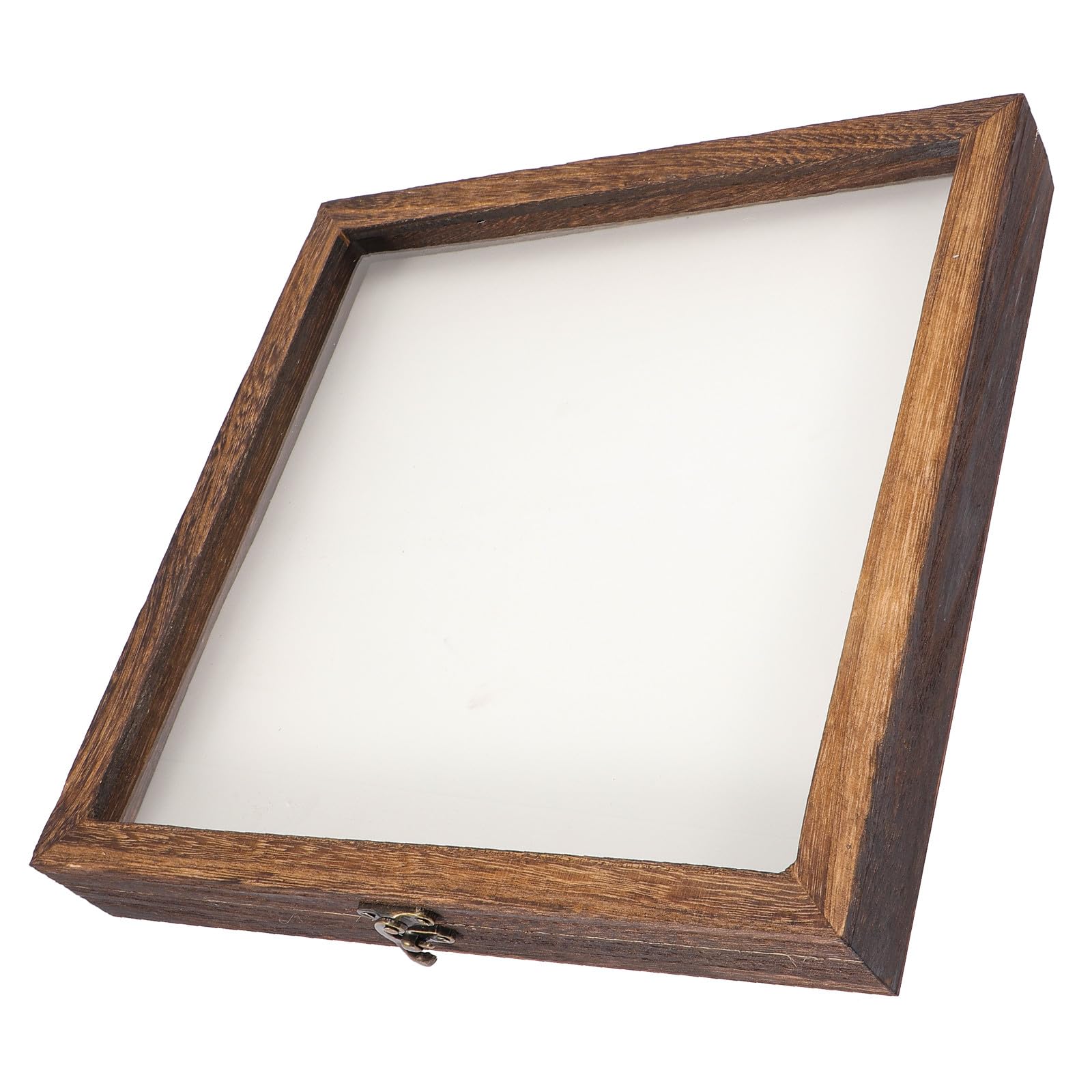 INOOMP Caja de Almacenamiento de Madera Almohadilla EVA y Tapa Transparente, Estuche para Exhibición de Muestras de Flores Secas y Especímenes en Vitrinas Portátiles Estilo