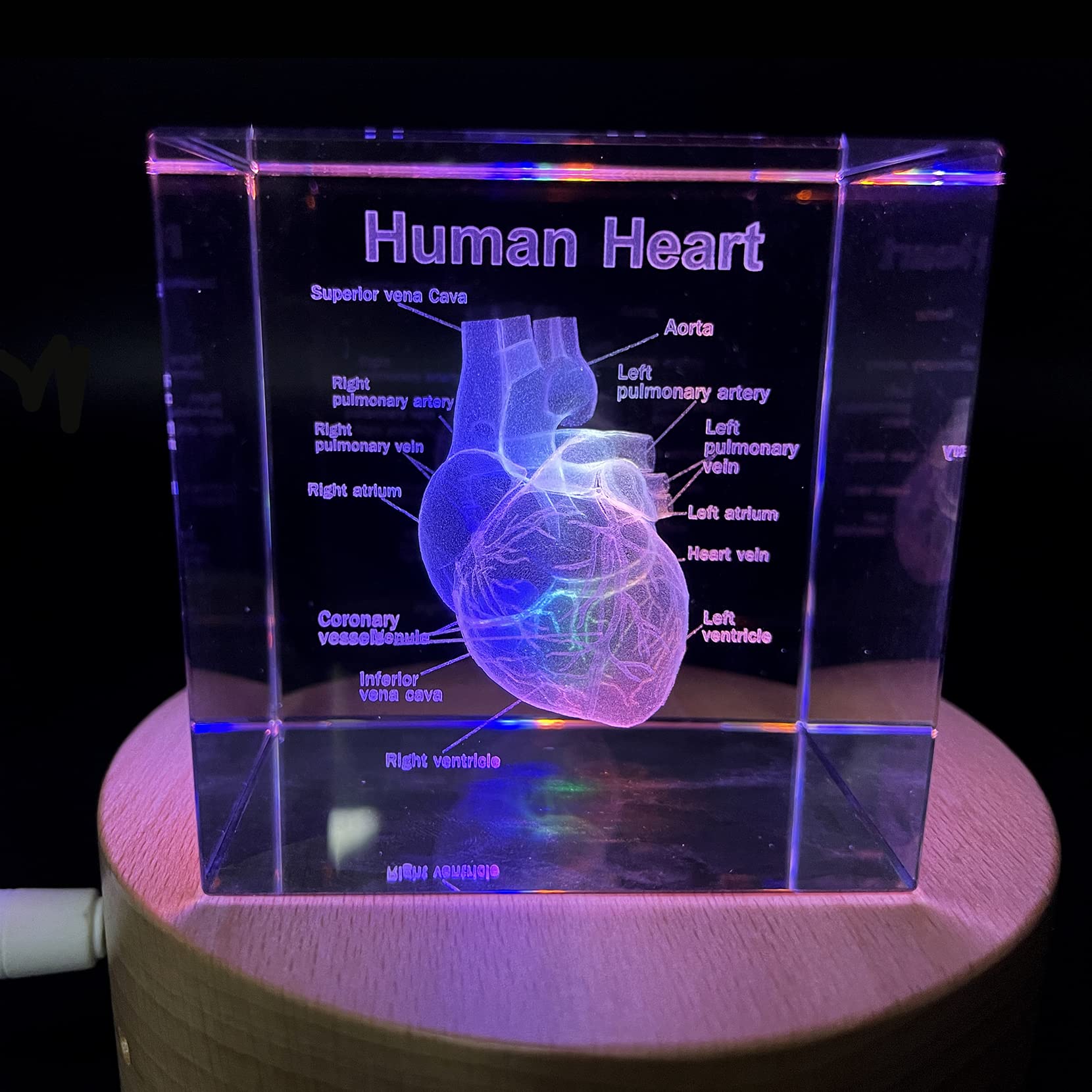 保存容器・ケース Human Made Heart Glass Clear 保存容器・ケース