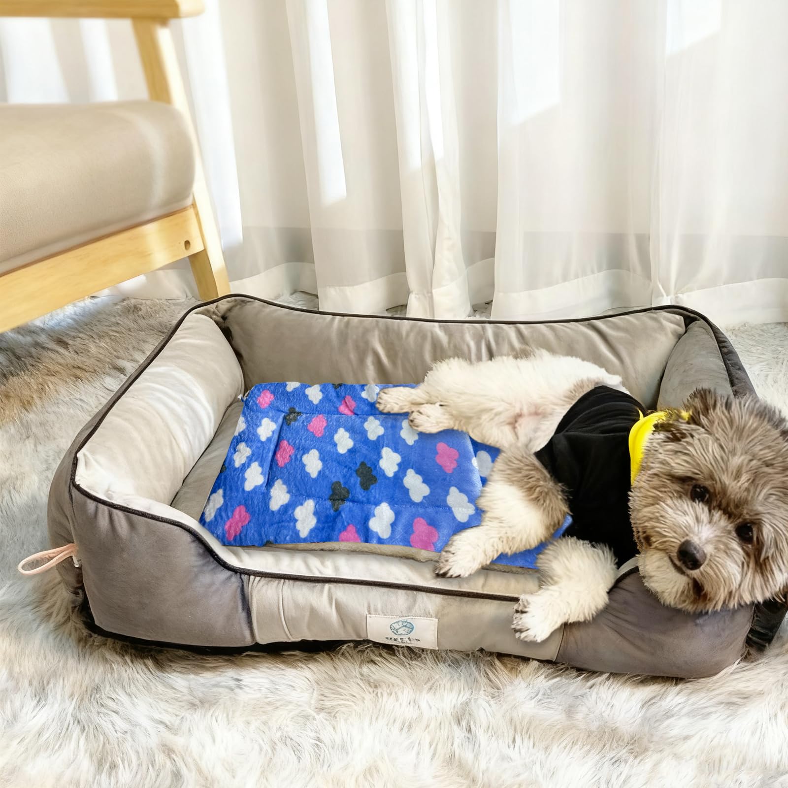 Coperta In Flanella Per Cani E Gatti 70x50 Cm – Doppio Strato, Lavabile, Antipelo, Morbida E Calda, Per Divani, Letti E Prati (stile Orso, Fino A 15 Kg)