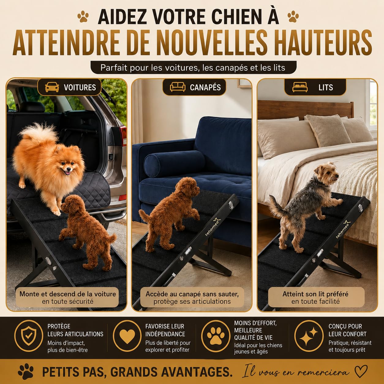 TEHORNEO Rampe pour Chien, Rampe Chien 4 Hauteurs de 25 cm à 41 cm, Escalier pour Chien Supporte jusqu'à 20 kg avec Tapis Antidérapant, Rampe pour Chien Canapé, Rampe pour Chat, Escalier Chien