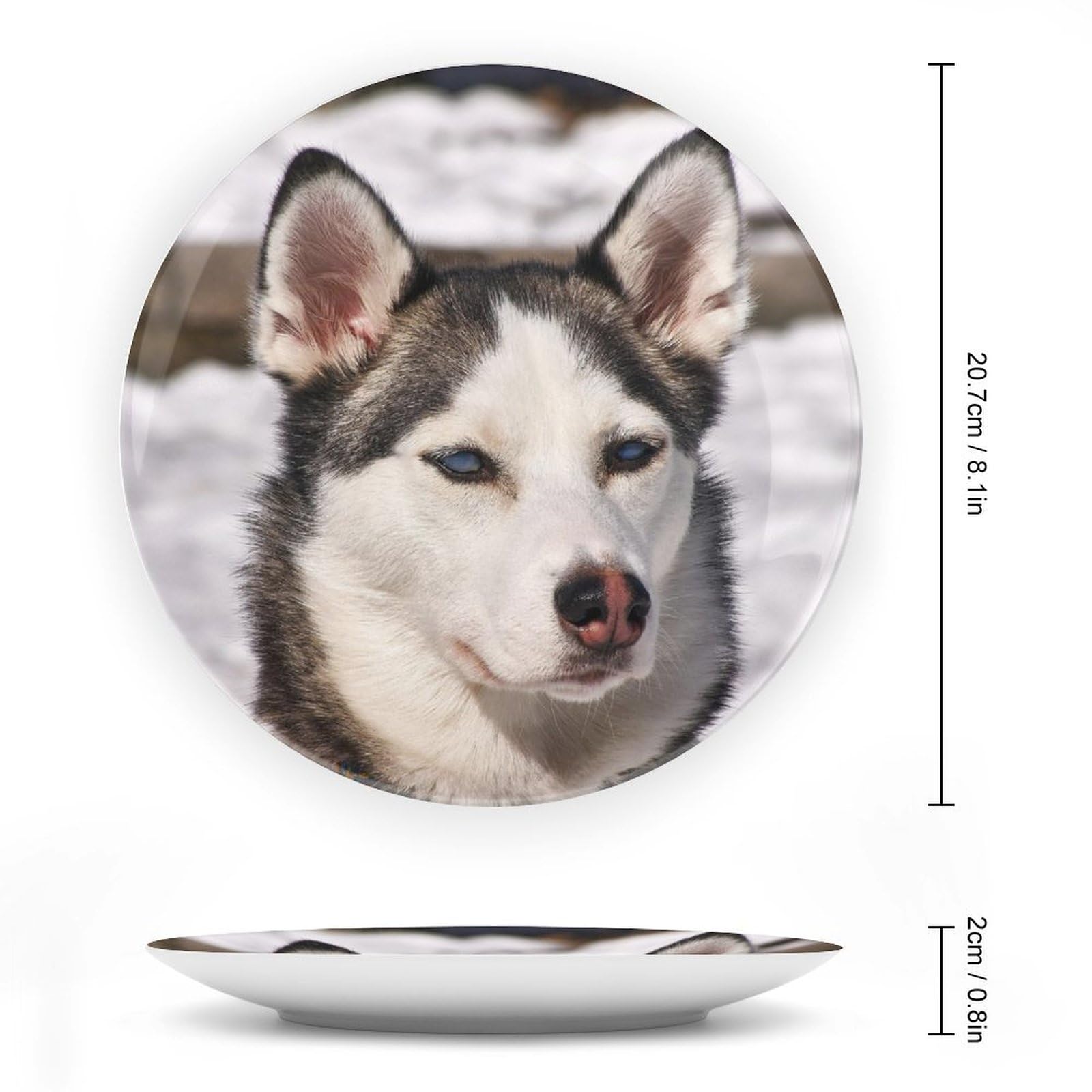 Dusty Husky DAAM DUSTY HUSKY / Daam (DLIP-0080, LP) – TICRO MARKET