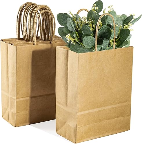 MAQIHAN Bolsas pequeñas de papel kraft con asas, 12 bolsas de papel de estraza de papel de estraza marrón, bolsa de regalo pequeña, bolsas de
