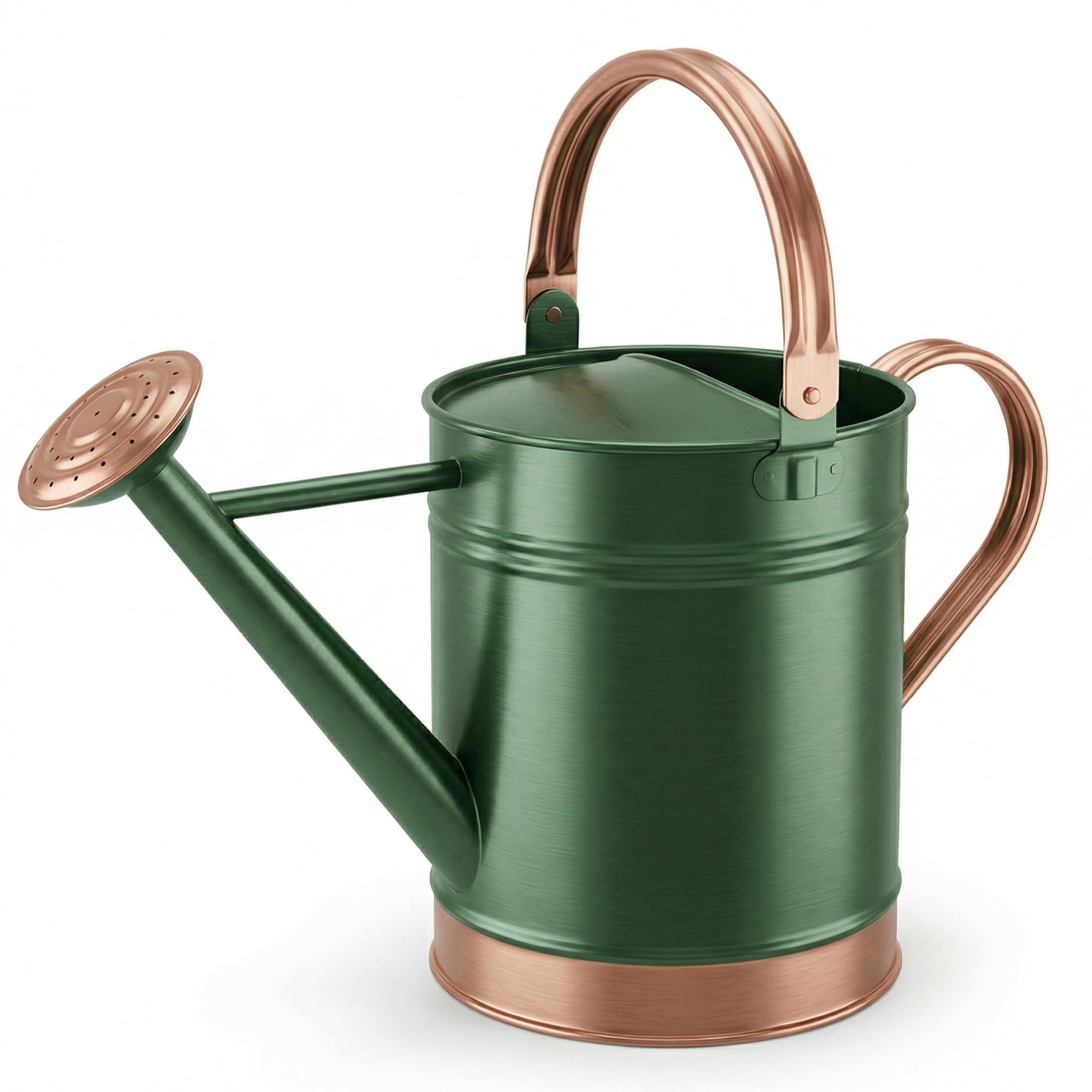 Gardenised Annaffiatoio in acciaio da 1 gallone con testa lunga di precisione per irrigazione controllata e doccia, ideale per piante da interno ed esterno, fiori e piante d'appartamento, verde