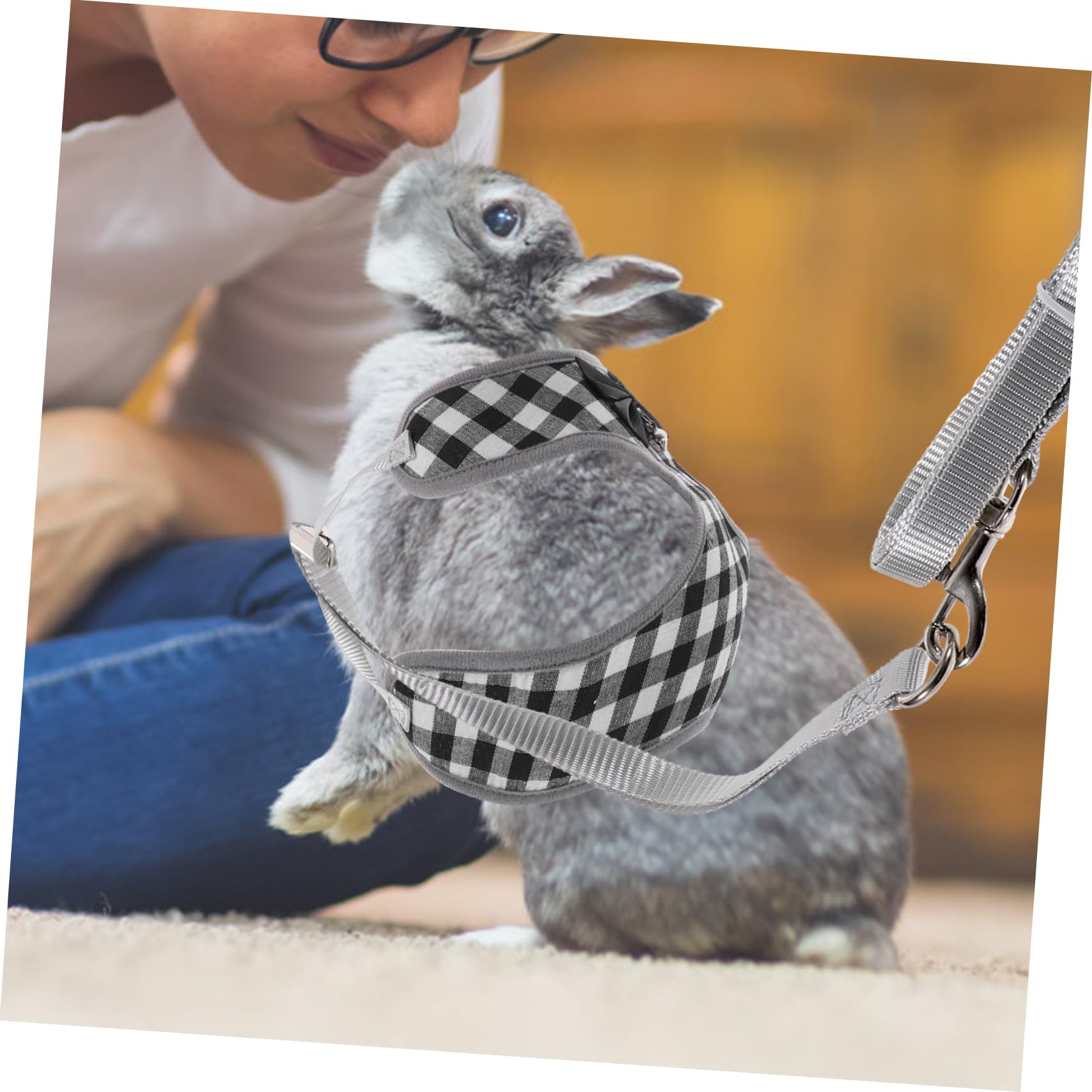 BESPORTBLE 4sätze Haustier Outfit Für Kaninchen Stylisches Und Bequemes Bunny Kostüm Mit Leine Für Partys Und Besondere Anlässe Aus Hautfreundlicher