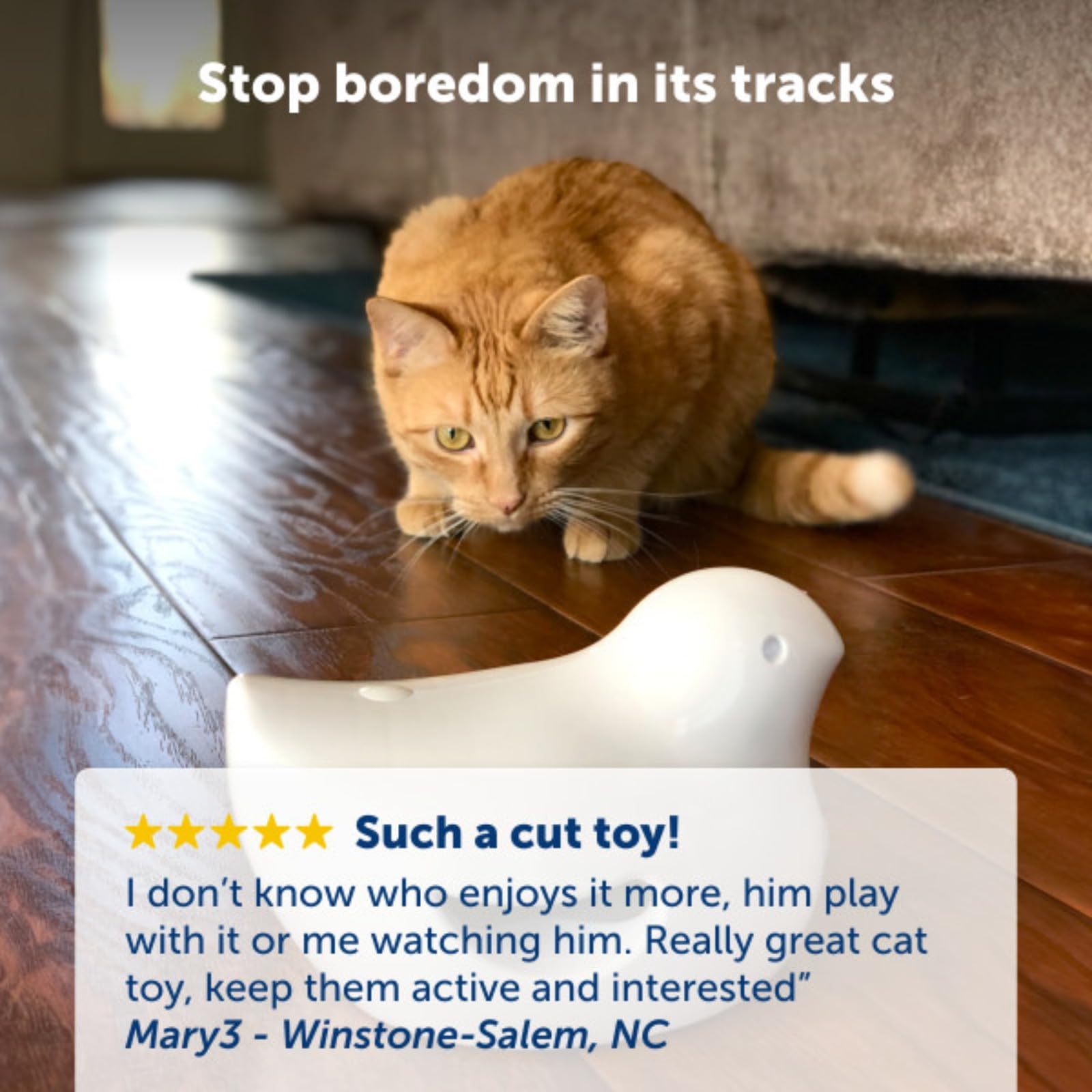 PetSafe Gioco Elettronico per Gatti Peek-A-Bird