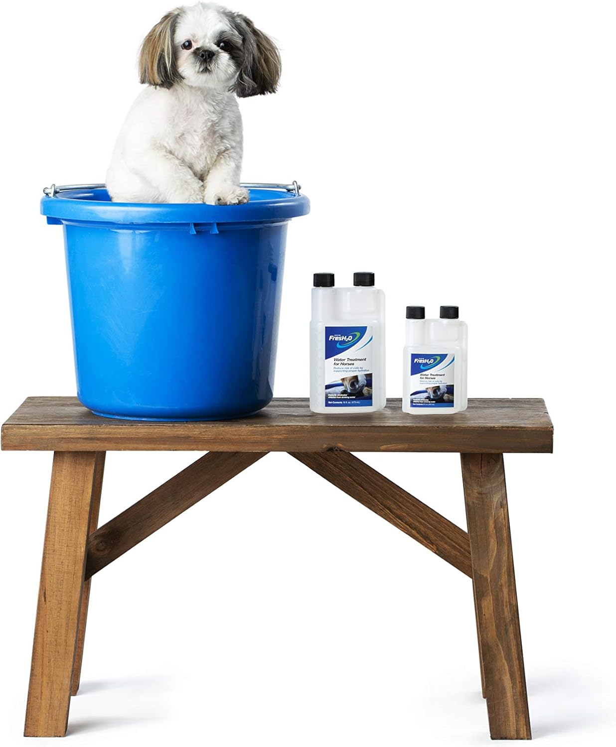 Show FresH20 Equine Water Treatment Bottle, Eliminate Chlorine in Drinking Water, Reduce Risk of Horse Colic by Supporting Hydration, Easy Use, Up to 150 Gallons - 16oz : Everything Else