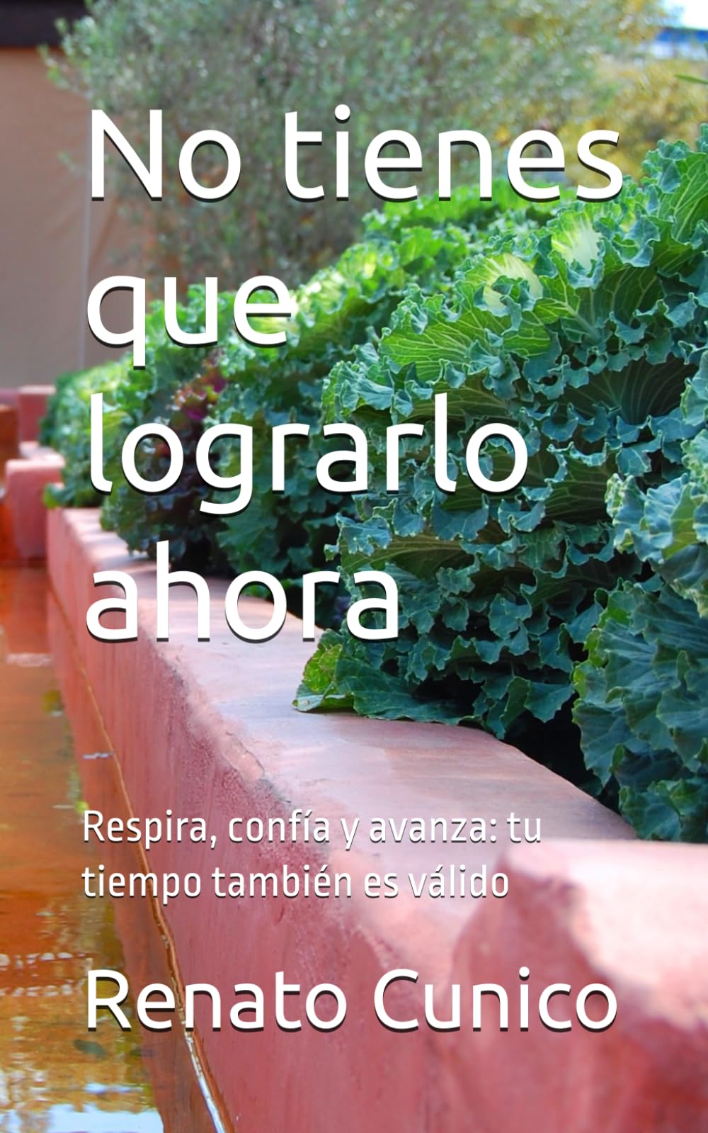 No tienes que lograrlo ahora: Respira, confía y avanza: tu tiempo también es válido