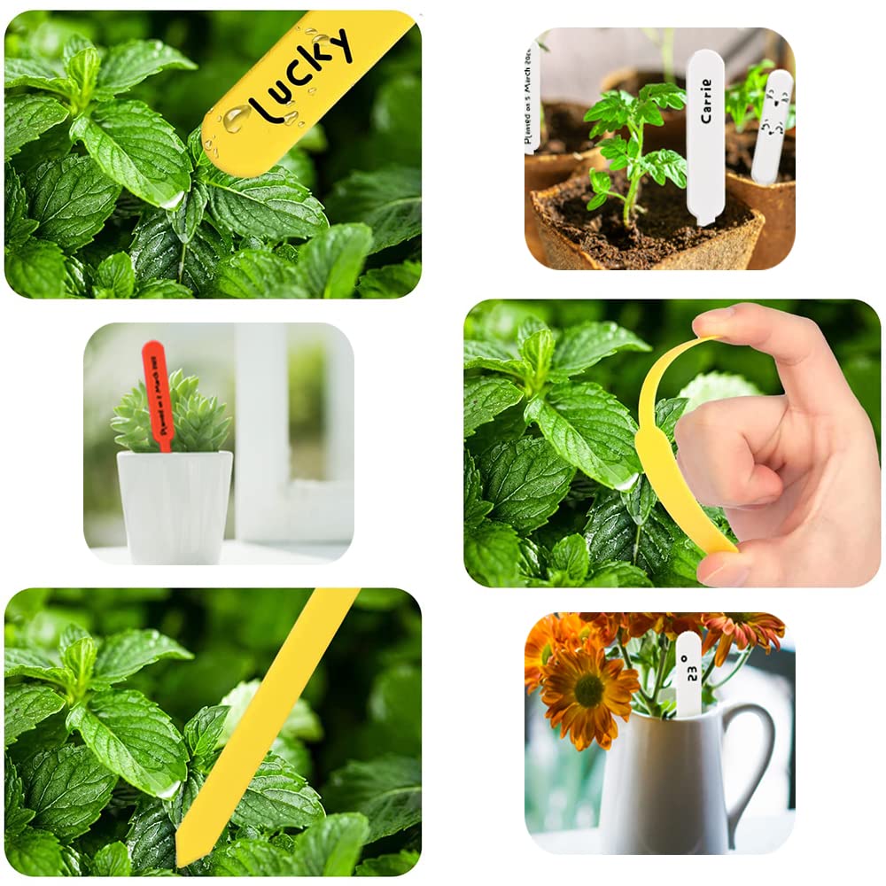 300 Etichette Plastiche Per Piante Da Giardino - 10x2 Cm Multicolore