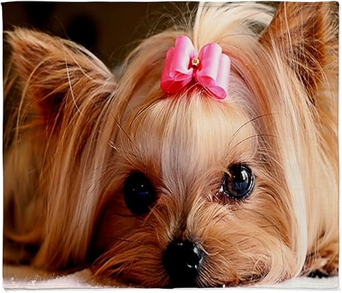 Miniatura 7 de CafePress Yorkie - Manta de forro polar supersuave para cachorros, 60 x 50 pulgadas