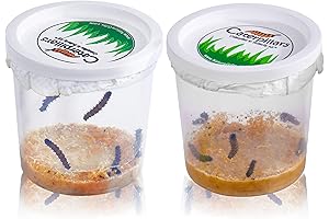 10 Live Caterpillars for Butterfly Habitat Garden Kit