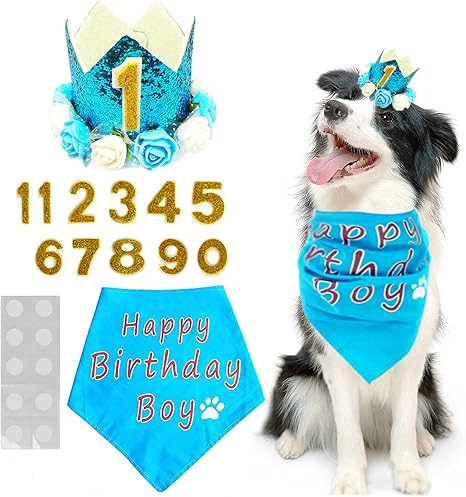 Bipy Chapeau D Anniversaire Banadana Reutilisable Avec Couronne De Fleurs Bleue Pour Animal Domestique Pour Chat Et Chien Amazon Fr Animalerie
