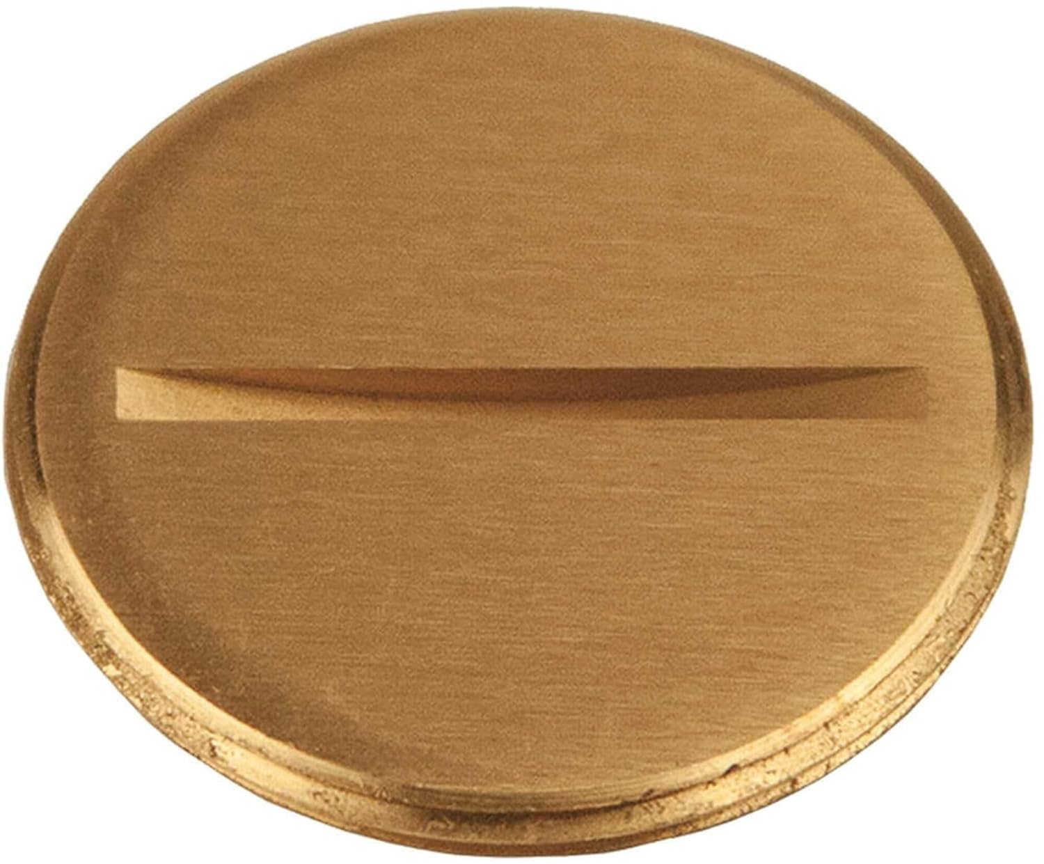 Abandon Plug, 1-1/2 in. Flush Slotted Plug, Fits RACO Covers 6284, 6288, Brass (6226)