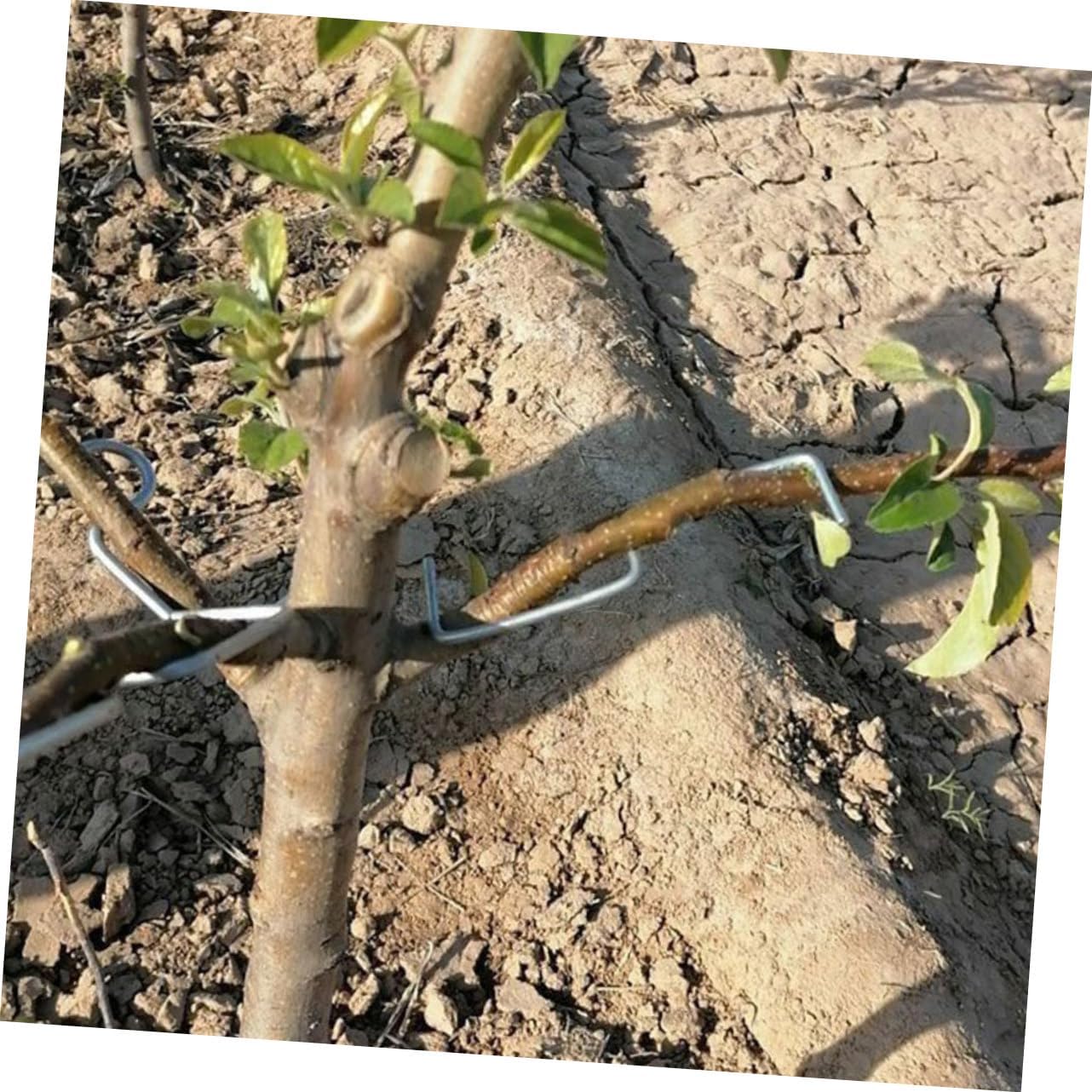 1Set Tree Branch Pullers of Durable Plant Branch Modelling Tools for Fruit Trees Flowers for Gardening Plant Care