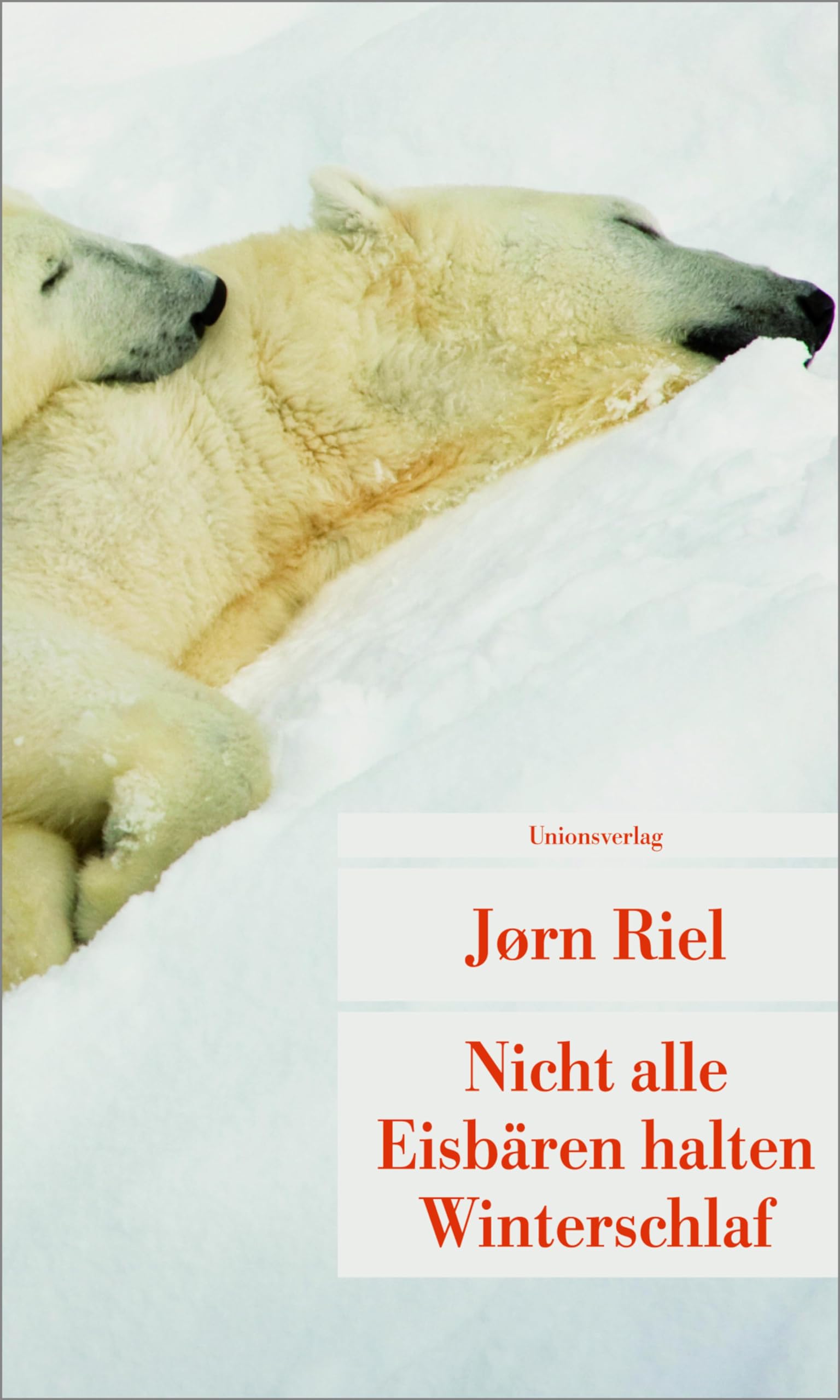 Nicht alle Eisbären halten Winterschlaf: Roman (Unionsverlag Taschenbücher)