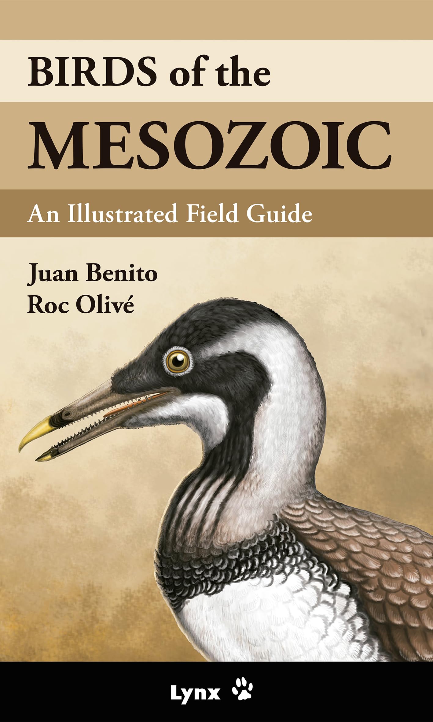 Birds of the Mesozoic