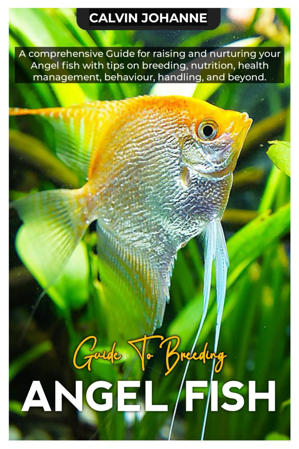 ANGEL FISH: A comprehensive Guide for raising and nurturing your Angel fish with tips on breeding, nutrition, health management, behaviour, handling, and beyond