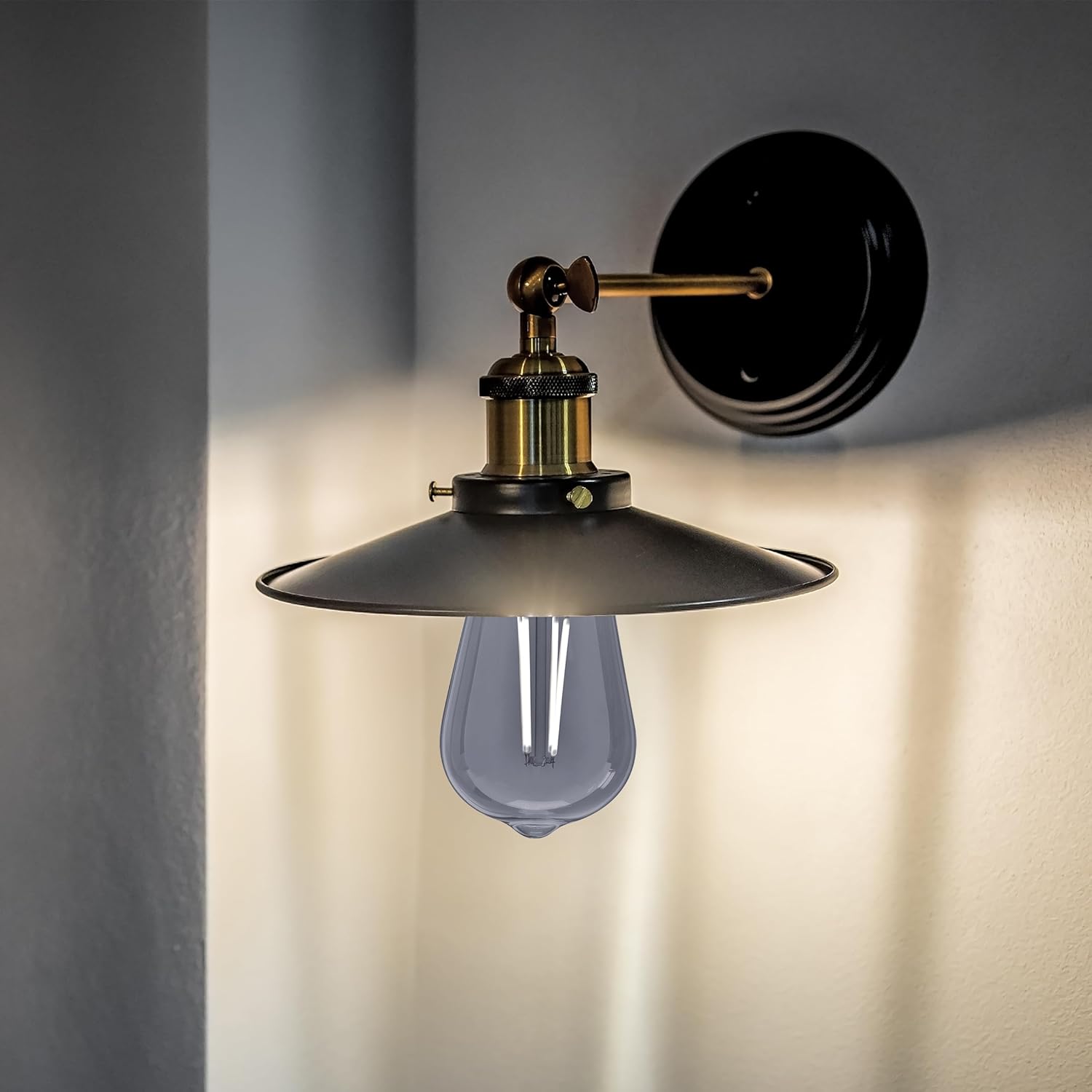 Feit Electric Vintage Exposed Filament Smoke Glass LED ST19 with a Medium E26 Base Light Bulb - 25W Equivalent - 10 Year Life - 200 Lumen - 5000K Dayllight - Dimmable | Original Vintage