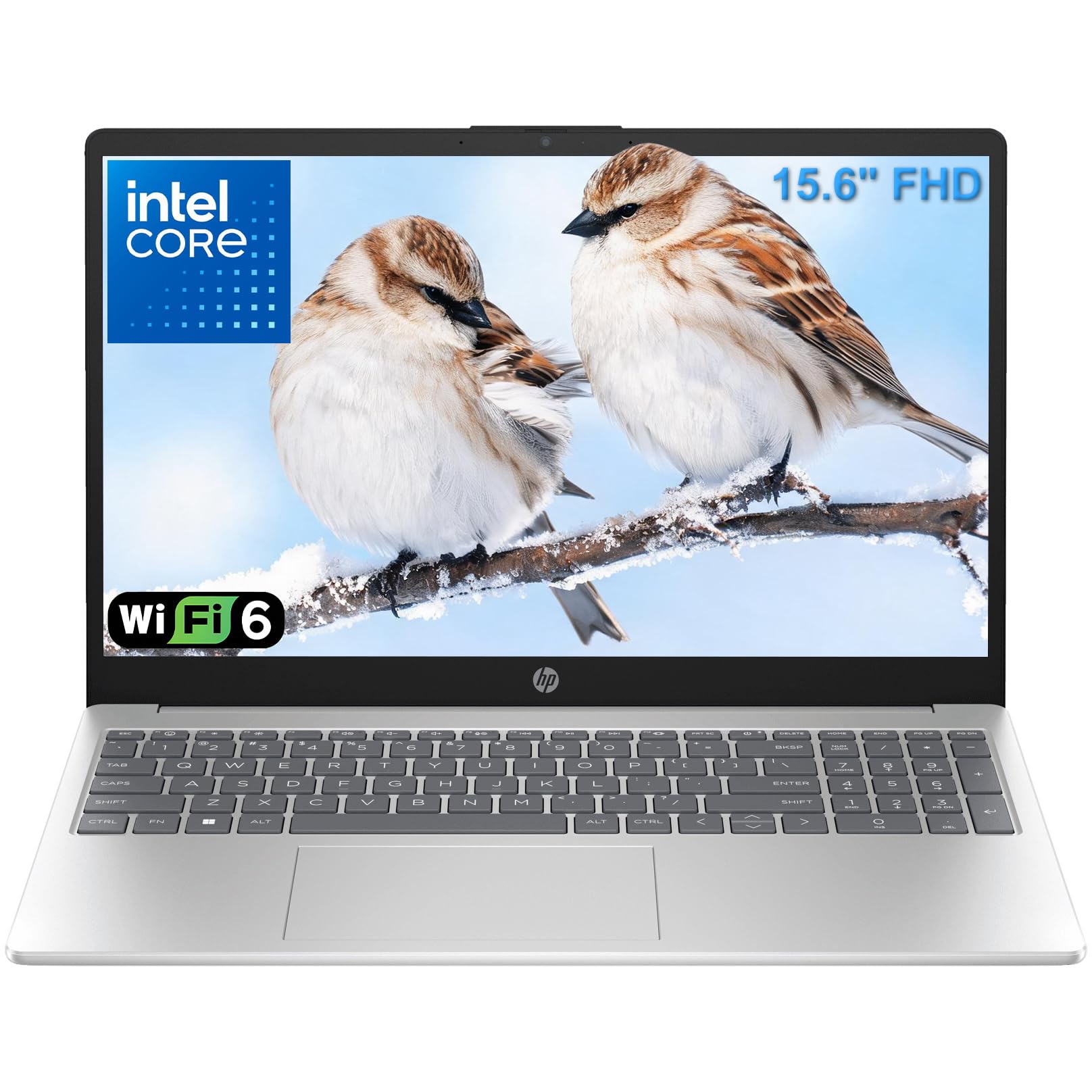 HP Pavilion 15.6