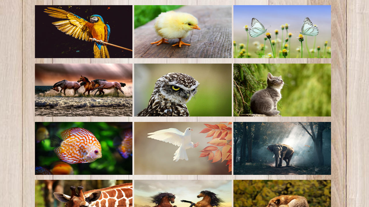 Animal puzzle App on Amazon Appstore