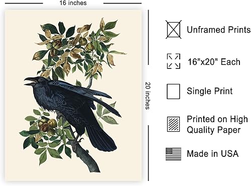 Miniatura 519 de Poster Master Póster vintage de flamenco americano, estampado retro de flamenco rosa, arte de pájaro, regalo para él, ella, amante de los animales,