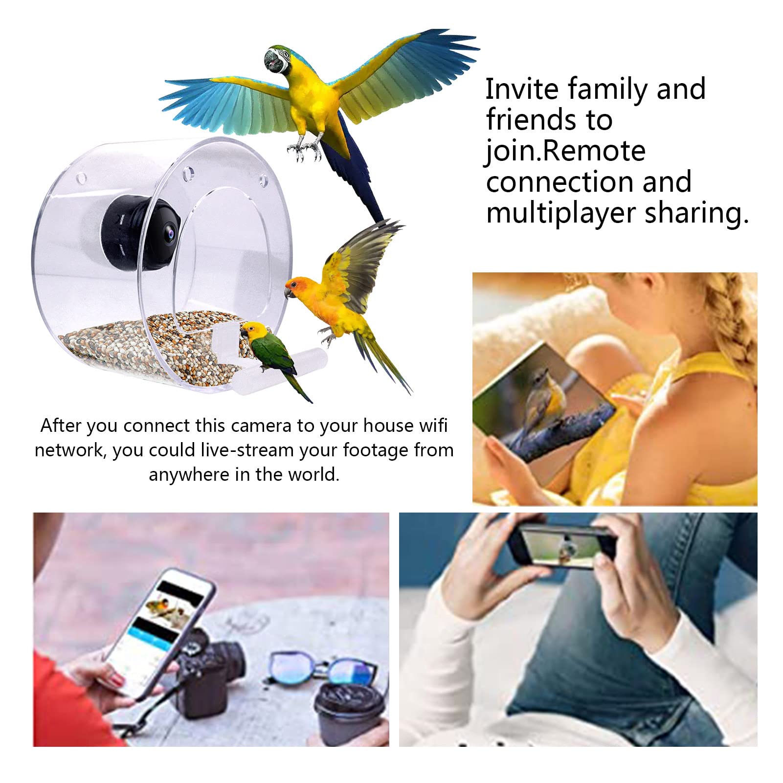 Mangiatoia per Uccelli con Fotocamera, Mangiatoia per Uccelli da Finestra con Forti Ventose, Mangiatoia per Uccelli con Telecamera WiFi Wireless 1080p, Videocamere Versione Notturna Cattura Foto di