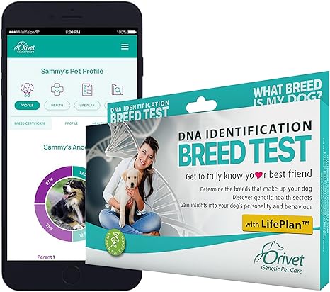 dog dna kit amazon