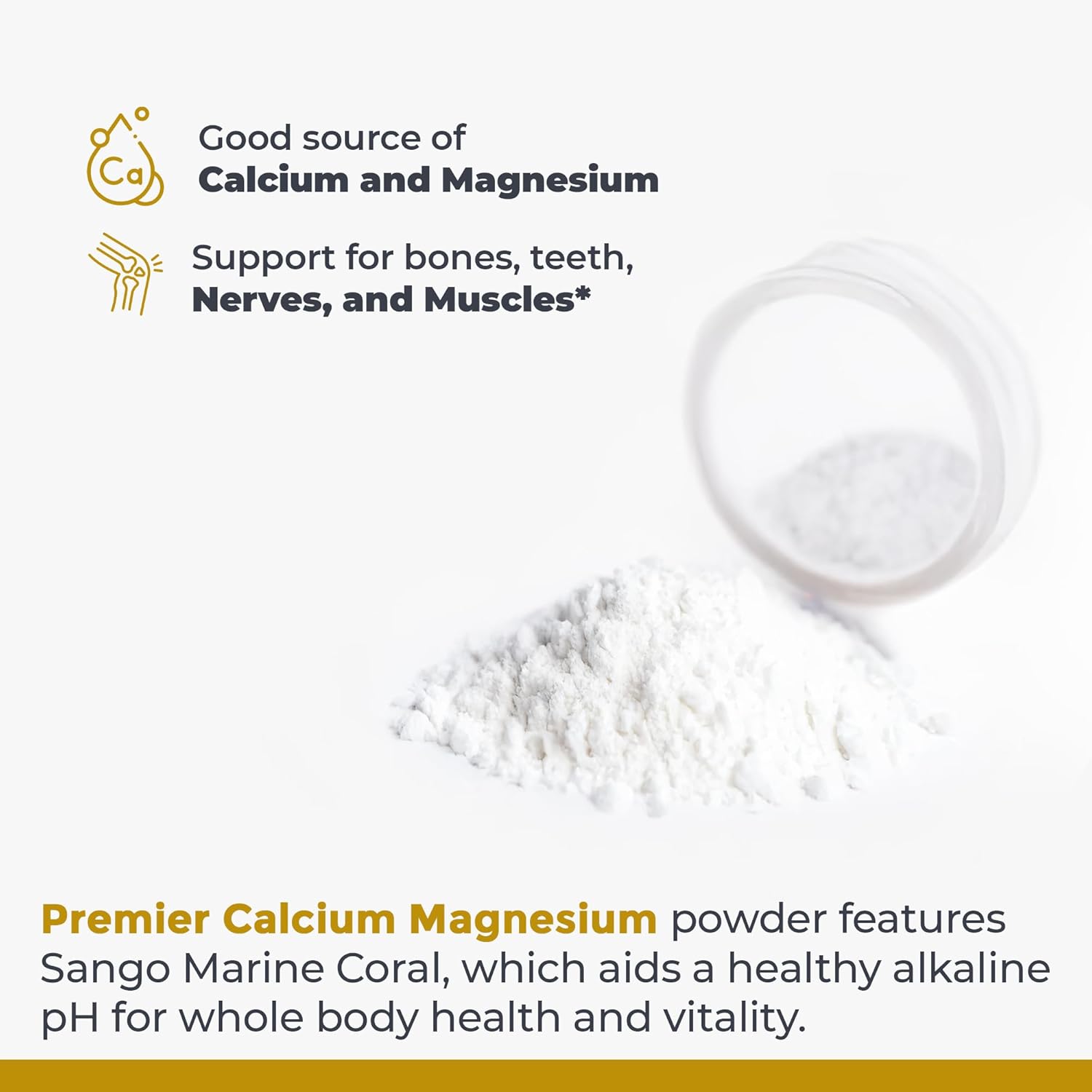 Premier Research Labs Calcium Magnesium Powder - Natural Coral Calcium Powder for Bone Health, Mix with Water for Alkaline PH Balance - 8 oz