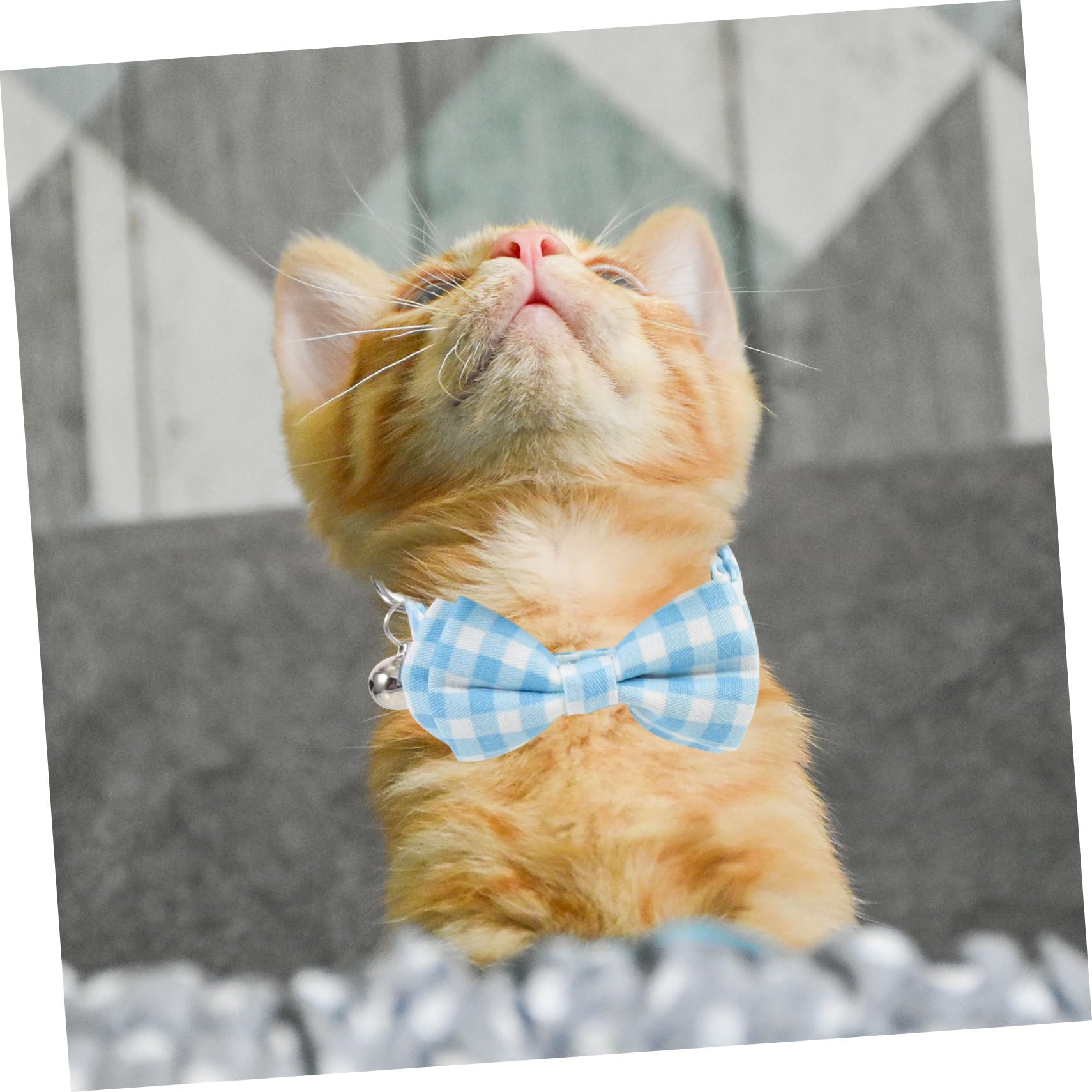 Mipcase 8pièces Collier pour Chat Ajustable De Colliers Décoratifs Floral avec Nœud Et Clochette Accessoire pour Animaux De Compagnie Confortable Et Sécure