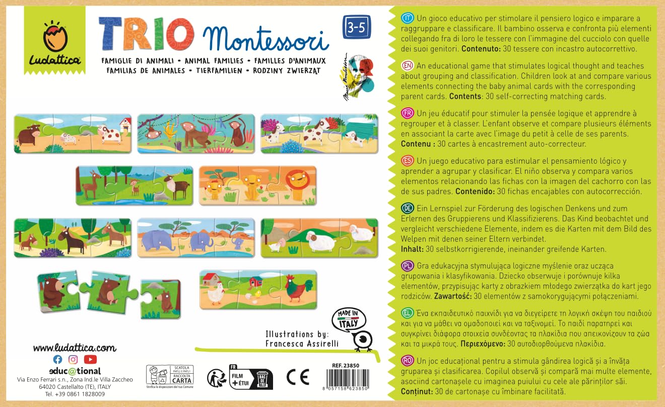 Ludattica | JUEGOS MONTESSORI | Trio Montessori: ¡Descubre las familias de animales con el método Montessori! | Juego educativo 3-5 años | Primeros rompecabezas | Made in Italy