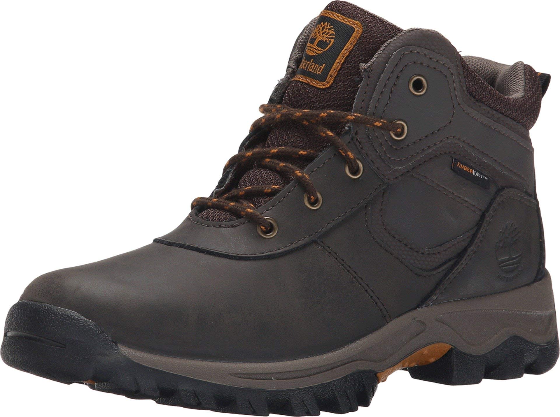 Timberland Kids' Mt. Maddsen Waterproof Hiking Boots