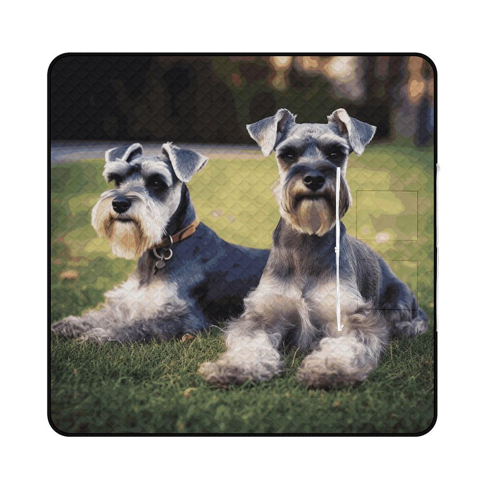 Couverture de camping pliable Schnauzer pour vos pique-niques en famille