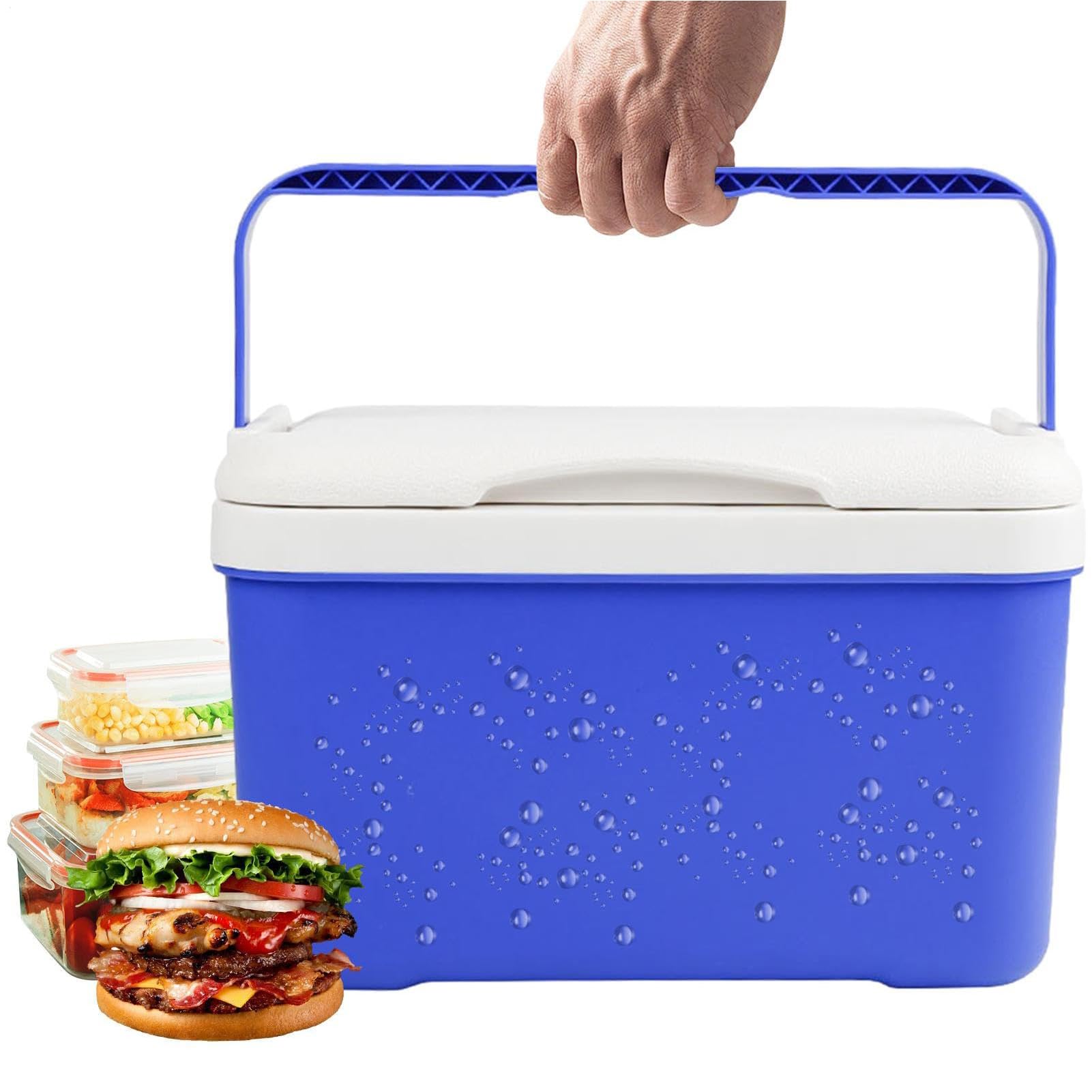 Borsa Frigo Piccola Borsetta Termica Porta Pranzo Borsa Frigo Rigida Zaino Termico Borsa Termica Impermeabile da 6 L con Manico 8L 33 * 24 * 20.5cm