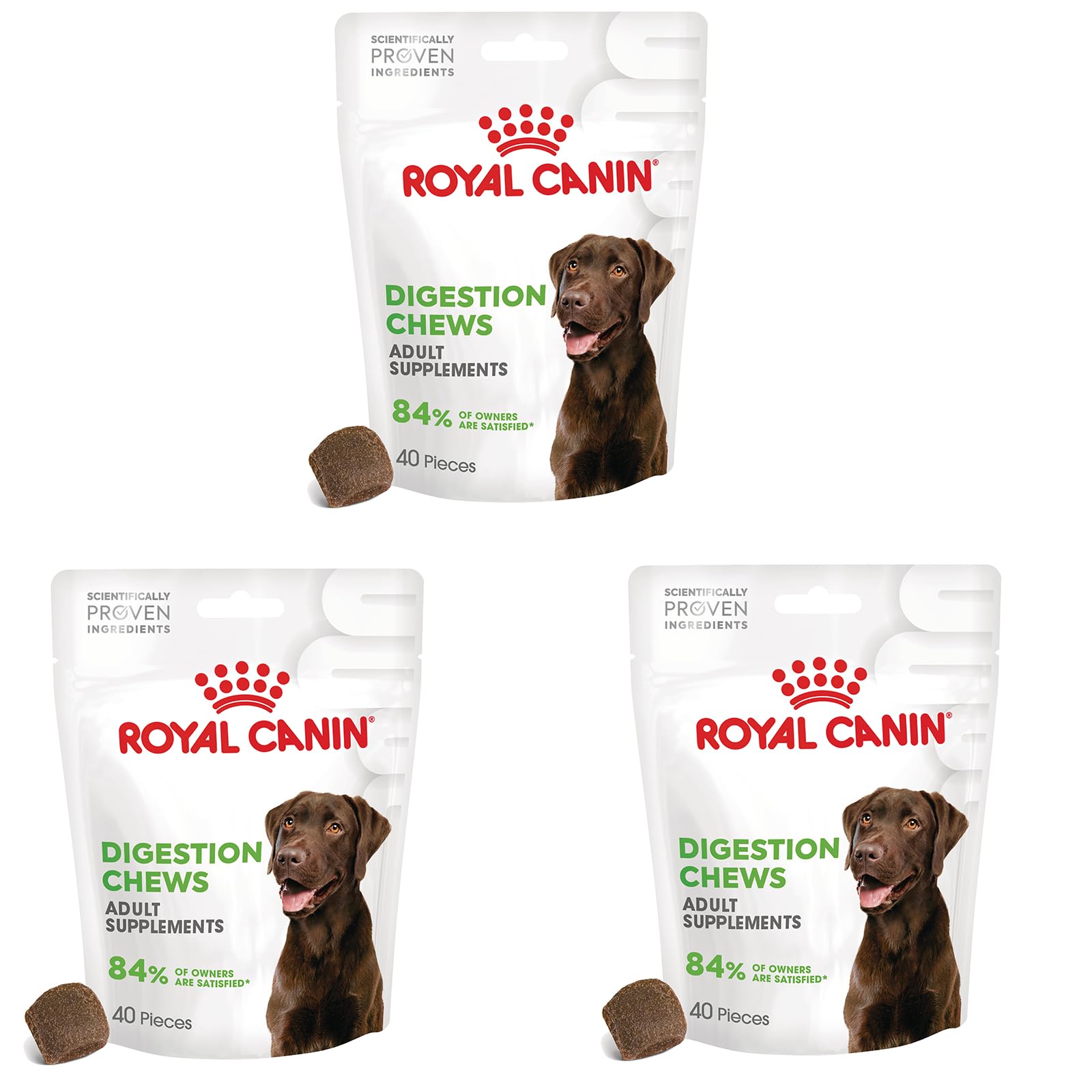 ROYAL CANIN Digestion Chews Adult Supplements | Pack of 3 | 3 x 160 g | Supplementary Feed for Adult Dogs | To Support Normal Digestion and Intestinal Flora
