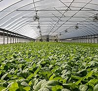 Vista 8 de Barrera de plagas de red de jardín: 10'x20' Red fina para protección del jardín, cubierta de hilera de malla elevada mosquitera de malla