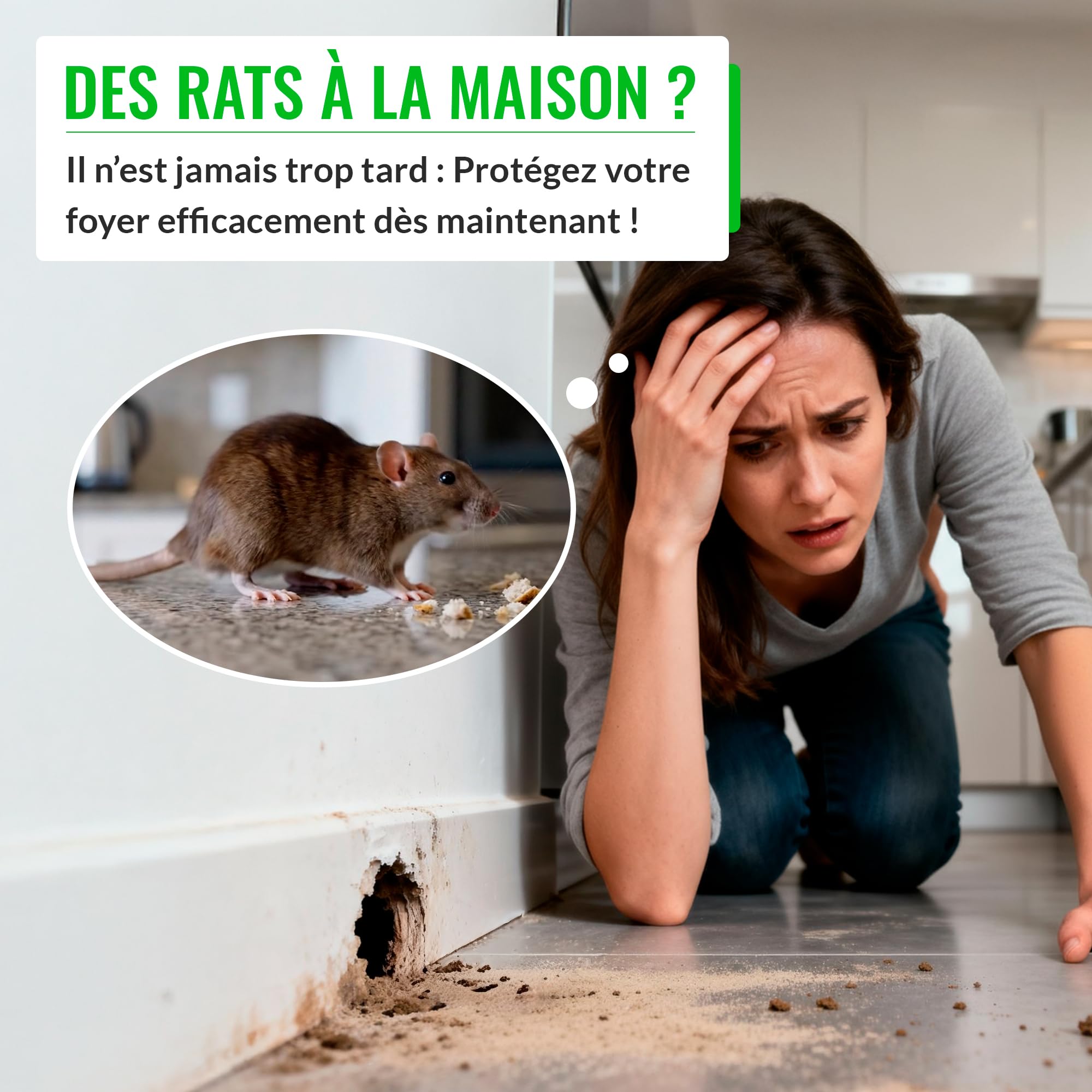Pièges à Rats et Souris Professionnels Mice&Co – Boîte d'Appât Raticide Inviolable Sécurisée