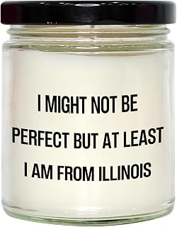 from Illinois with Love, Vanilla Soy Candle Gift for Illinois Enthusiasts, 'I Might Not Be Perfect...'