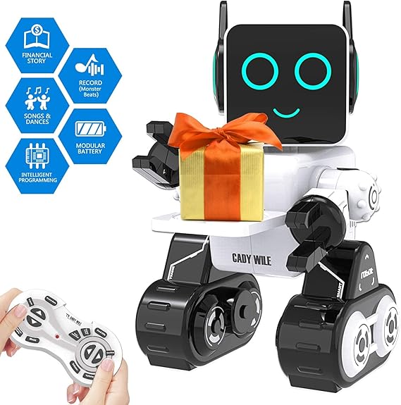 Robot Toy for Kids,Smart RC Robots for Kids with Touch and