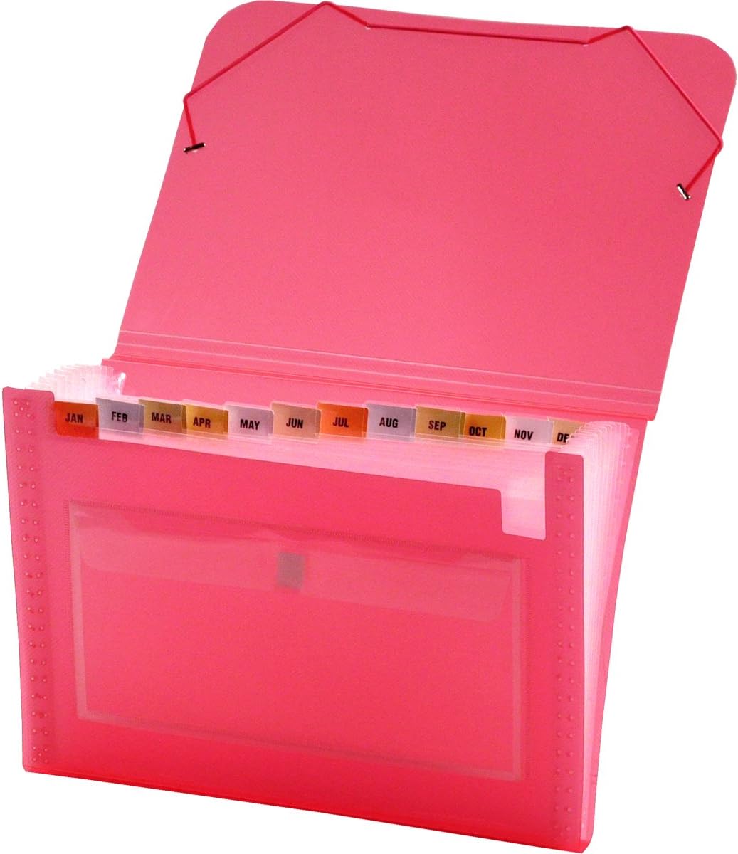 Lion ClearLine 13Pocket Poly Expanding File, Transparent