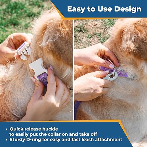 Miniatura 5 de GoTags Collar de algodón personalizado para perro de cáñamo con placa de identificación grabada personalizada, placa silenciosa y sin ruido