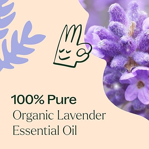 Miniatura 5 de Plant Therapy Aceite esencial de lavanda orgánica 100 puro certificado por USDA orgánico sin diluir aromaterapia natural grado terapéutico 10fl oz 1