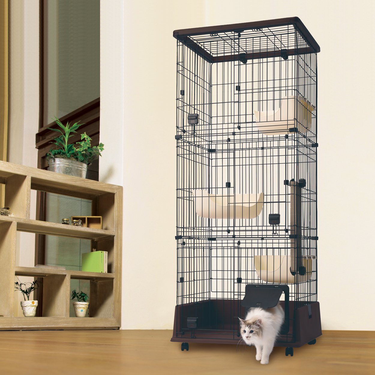 Amazon.co.jp: ペティオ (Petio) necoco ネココ 仔猫からのしつけにも 
