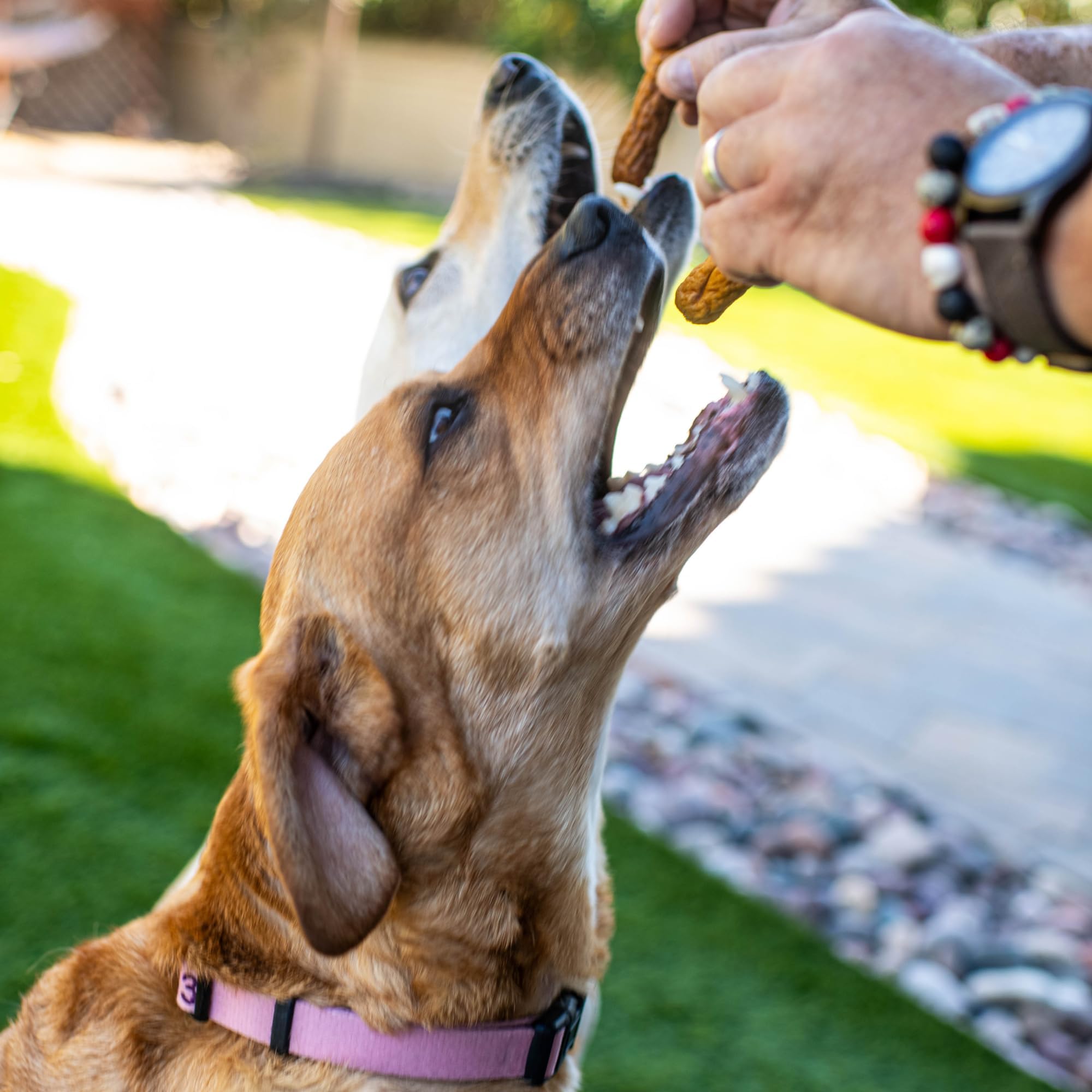 Loving Pets Products Duck Sausages, Natural Value Dog Treats