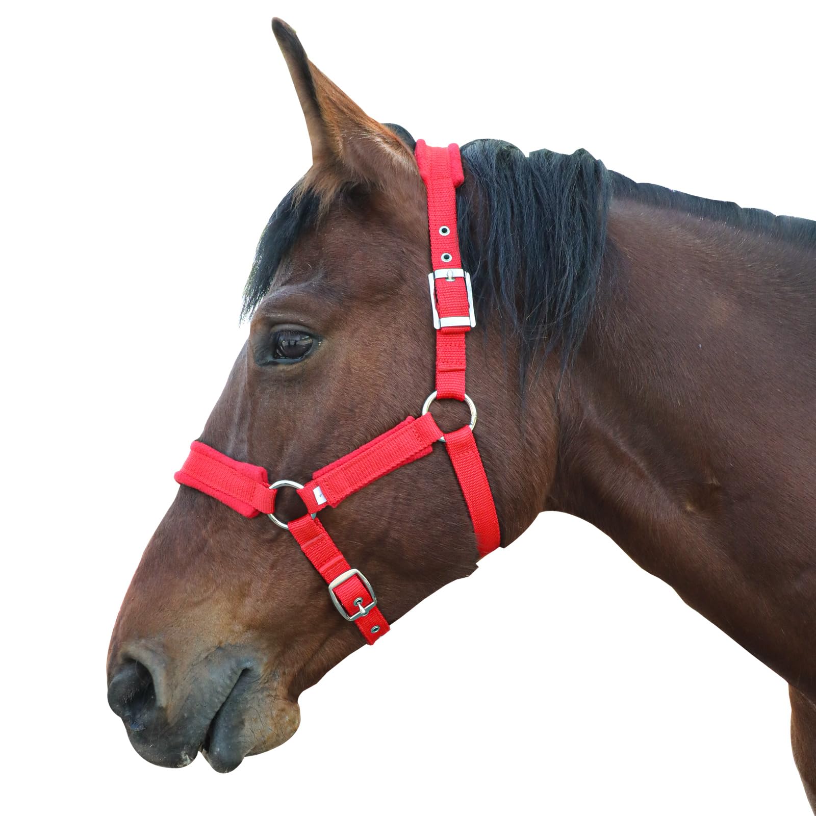 Fleece Horse Halter Adjustable Chin and Throat Snap with Snap