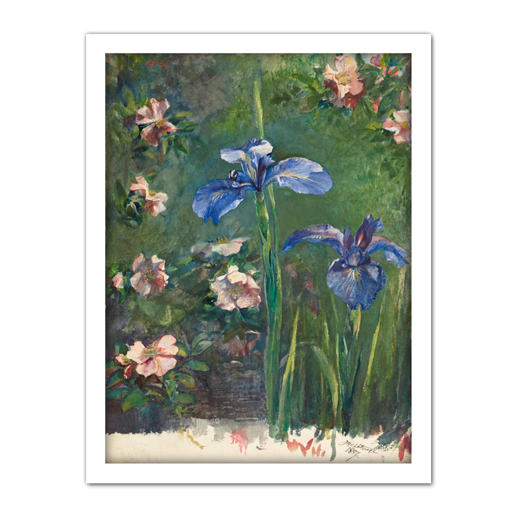 Artery8 La Farge Wild Roses And Irises Painting Artwork Framed Wall Art Print 18X24 Inch