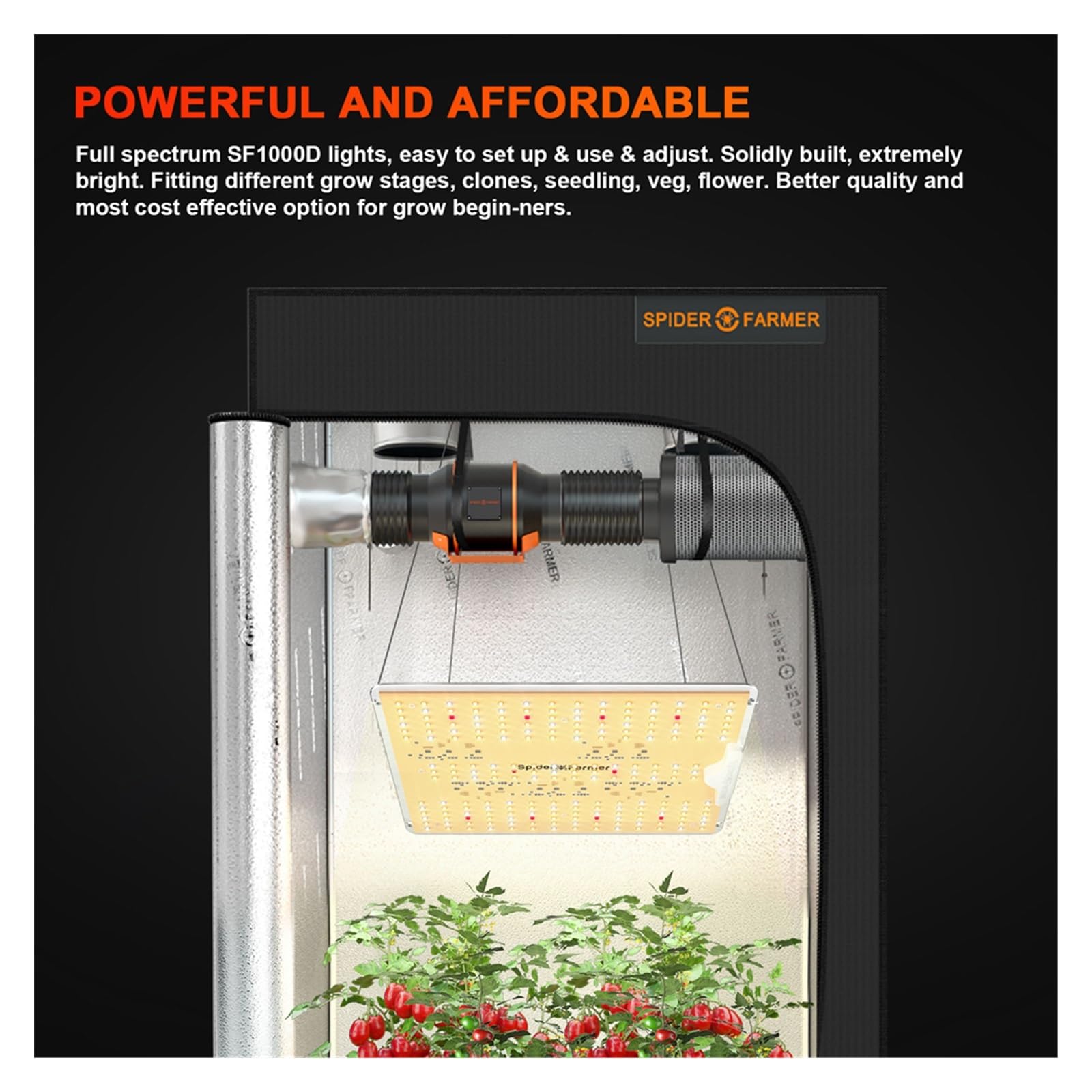 Lampada per Piante, Luce crescente a LED a spettro completo LM301B Lampada da coltivazione a LED for piante da fiore Veg Bloom Indoor