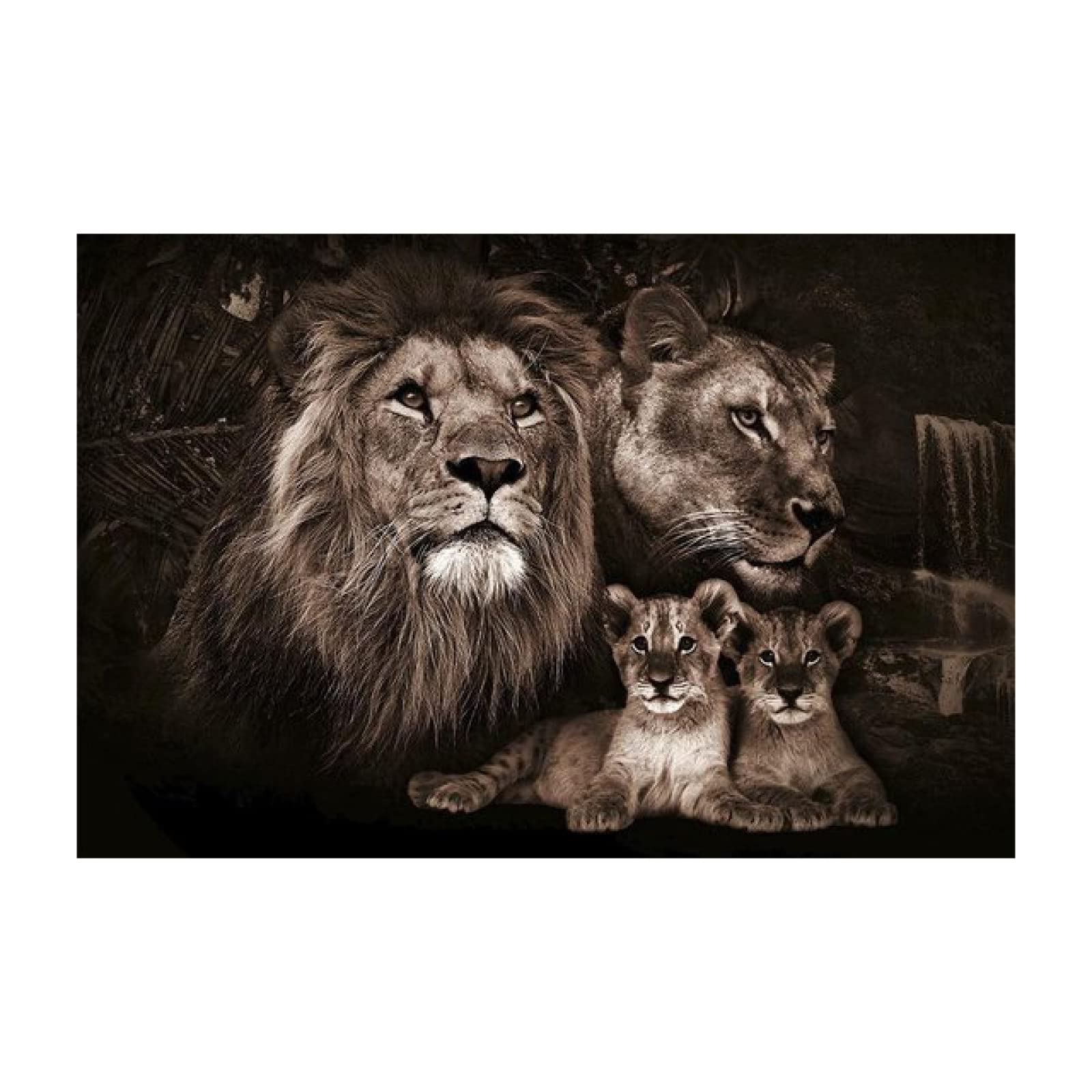 Noir Et Blanc Animal Mur Art Toile Peinture Bébé Lion Famille Affiches Et Gravures Mur Photo Pour Salon Décor 60x80cm(24x31in) Avec Cadre